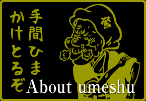 About umeshu